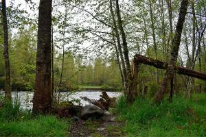 Construction on the Foothills Pedestrian bridge may start this summer. It'll not only be accessible to foot traffic, but emergency services as well, just in case the White River bridge is inaccessible. Photo by Alex Bruell