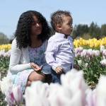 Photos by Ray Miller-Still