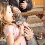 Photos by Ray Miller-Still