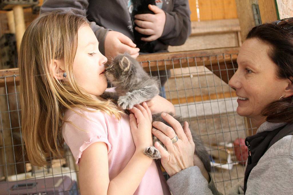 Photos by Ray Miller-Still