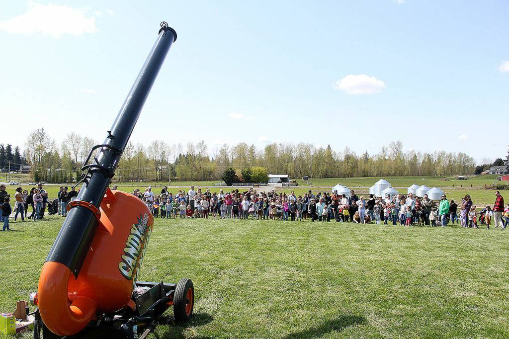 Photos by Ray Miller-Still