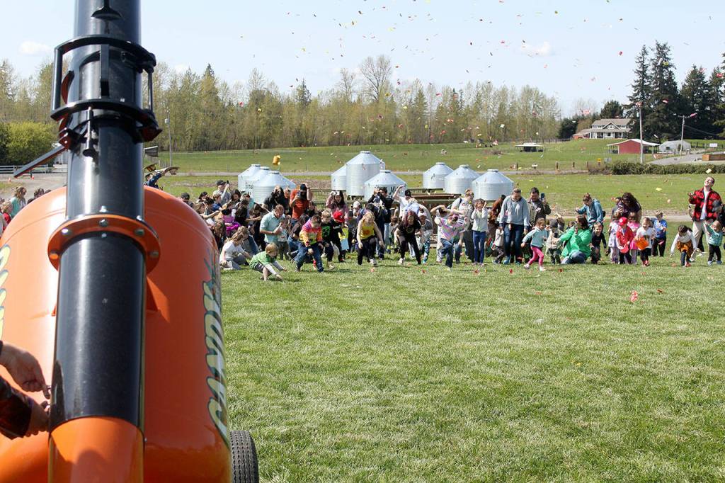 Photos by Ray Miller-Still