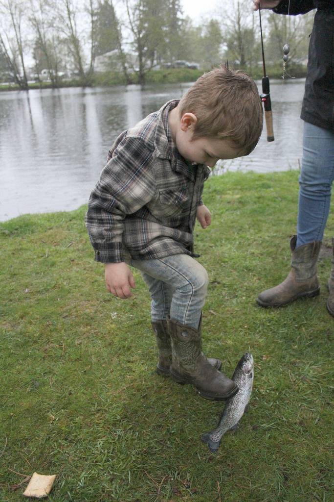 Photos by Ray Miller-Still