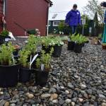 Local Ida Marge Guild Secretary LuAnne Hedges, center, talks plants at the recent Country Store Bazaar put on by the guild at Buckley Hall. The fundraiser, which support Mary Bridge Childrens Hospital in Tacoma, raised more than $6,500.