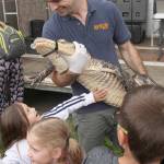 The Reptile Zoo visited Buckley in 2019, before the pandemic hit. Kids (and adults) were able to pet exotic creatures like alligators, pythons, and iguanas. Photo by Ray Miller-Still
