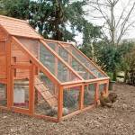 If you have chickens, ducks, or other birds at home, one of the best ways to protect them is to separate them from wild birds. Image courtesy Public Health Insider