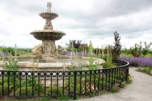 While Laughing Goat Flower Farm's private garden is for small parties and events like dinners and baby showers, the farm is looking to expand and become a wedding venue in time for next summer. Photo by Ray Miller-Still