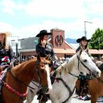 Photo by Ray Miller-Still