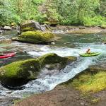Several emergency departments dove into the Green River to recover the body of a missing swimmer Wednesday. Image courtesy Enumclaw Fire Department.