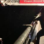 This photo, posted by a Public Information Officer, shows a Puget Sound Fire truck being used to rescue one of the people who became stranded in the Green River Sunday.