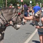 The parade through Wilkeson featured everything from floats to animals. Photo by Alex Bruell