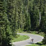 Marcie Morgan rushes through a road in the Mount Rainier National Park area. Youre completely exposed, a little human being amongst the giant trees, she said of the racing experience. You have to push past the fear, watching the concrete fly by you. Photo by Alex Bruell.