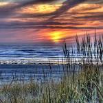 Sunset at Grayland Beach State Park. Photo by Michael & Sherry Martin