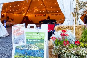 Photo courtesy EPFM 
The Enumclaw Plateau Farmers Market Harvest Market last year was every Thursday in the afternoons. This year, its slated to have only two events  one in late October, and another in mid-November.