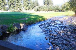 When waters are high, Boise Creek floods the 18th hole at the Enumclaw Golf Course; rerouting it will solve that issue. Photo by Ray Miller-Still