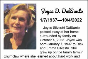 Joyce DalSanto