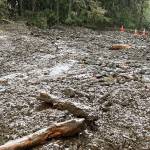 This image from WSDOT on Sunday shows the extent to which debris from a slide reached the roadway on SR 410.