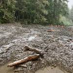 This image from WSDOT on Sunday shows the extent to which debris from a slide reached the roadway on SR 410.