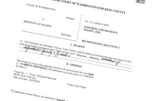 Brendan Lee Palmer was sentenced to nearly seven and a half years for vehicular manslaughter and reckless driving.