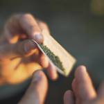 Image courtesy Metro Creative Connections