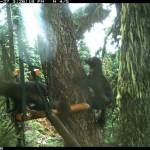 Jonis family is caught on a trail cam in late October of this year.