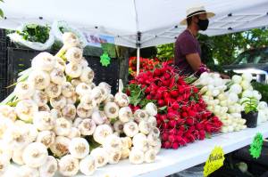 Photo by Ray Miller-Still 
The 2022 Enumclaw Farmers Market started off slow due to an unseasonable amount of rain, resulting in less-than-usual produce, so heres a picture of the 2021 season and Garibos Farm, which is not signed up as a vendor this year (at least, not yet).