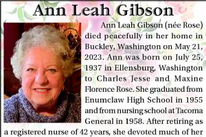Ann Gibson