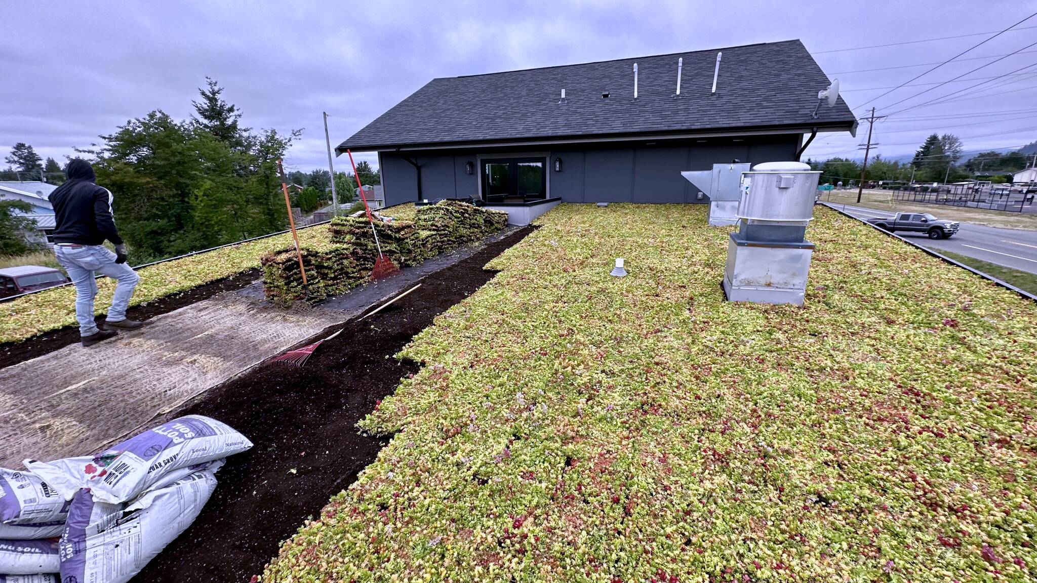 Stick and Stones new green roof during construction. Photo courtesy of Jolene Moorehouse.