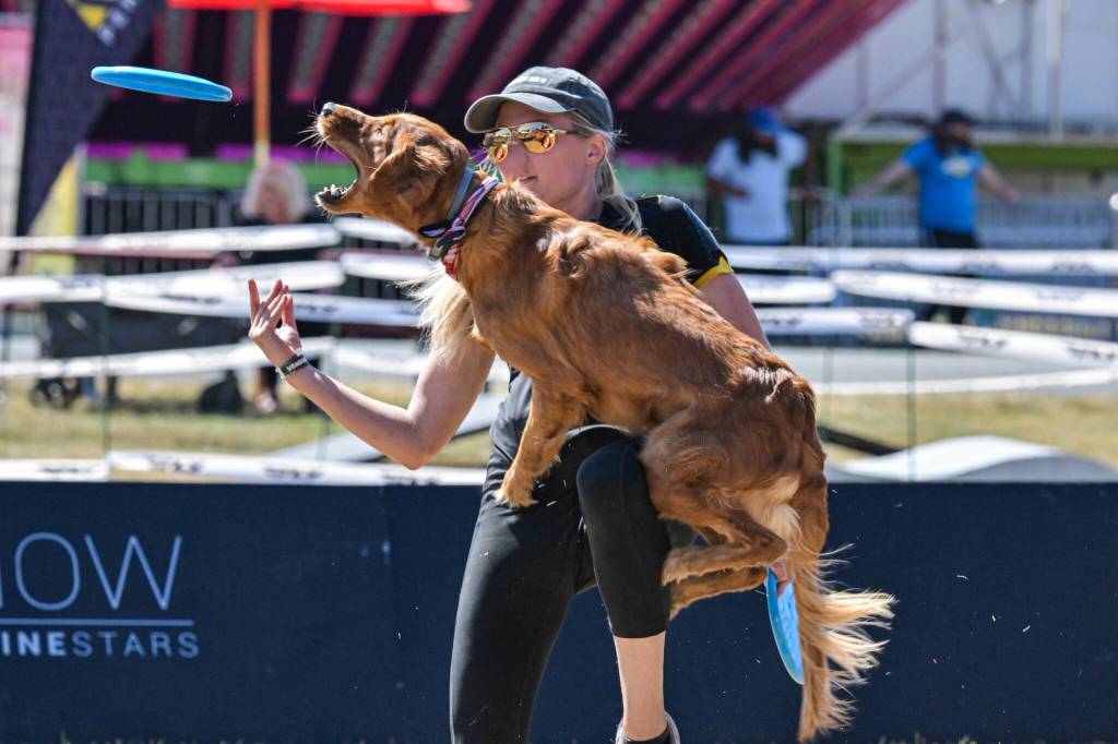 Photo by Vic Wright / Vicwright.zenfolio.com
Photo by Vic Wright / Vicwright.zenfolio.com