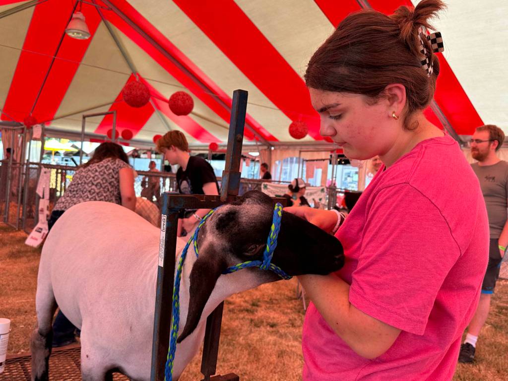 Photo by Joshua Solorzano