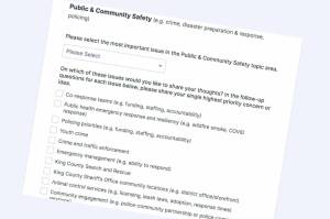 A King County Local Services survey asks about how the county can support public and community safety, amongst other topics. Screenshot