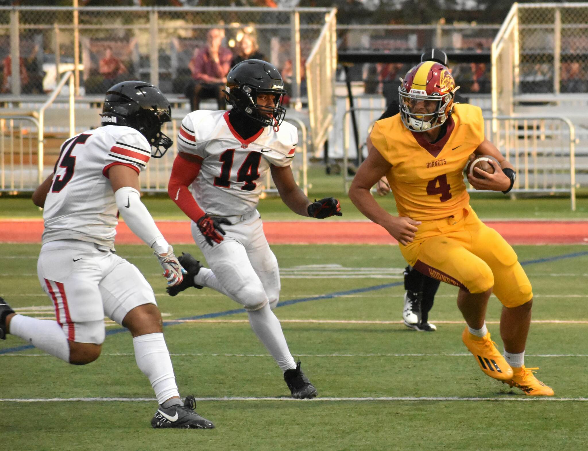 This photo, taken during the early stages of Enumclaws Thursday night victory over Franklin Pierce, shows Hornet quarterback Gunnar Trachte about to challenge a pair of Cardinal defenders. Photos by Kevin Hanson