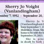 Sherry Voight