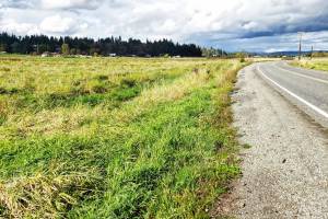 The stretch of Veazie Cumberland Road in which the Newaukum Creek passes underneath. Photo by Ray Miller-Still