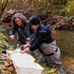 Beth Sosik and Diane Yeh, environmental scientists with King County, taking bug samples at Thorton Creek during a press conference celebrating the improvement of local urban streams. Photo courtesy King County