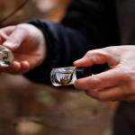 Scientists with King County determine how healthy a stream is by the Benthic Index of Biotic Integrity score, or bug score, which rates how diverse a bug population is at a testing site. Photo courtesy King County