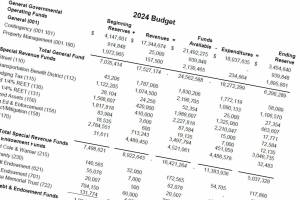 An image from the citys preliminary budget on its website. Screenshot