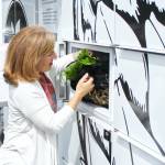 Photo by Ray Miller-Still
GoodRoots Northwest has recently opened, or will be opening, food storage lockers in Bonney Lake, Wilkeson, Carbonado, and South Prairie, so locals can pick up food orders in their communities instead of driving into Bonney Lake. Pictured is Rep. Kim Schrier trying out one of the lockers last summer.