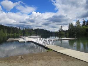 Make sure to check the water for any algae blooms before you plunge into Lake Wilderness  or any other body of water  for your polar bear plunge. Photo courtesy the city of Maple Valley