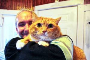 Local furball Simon has high hopes to be America's favorite cat. Photo by Ray Miller-Still