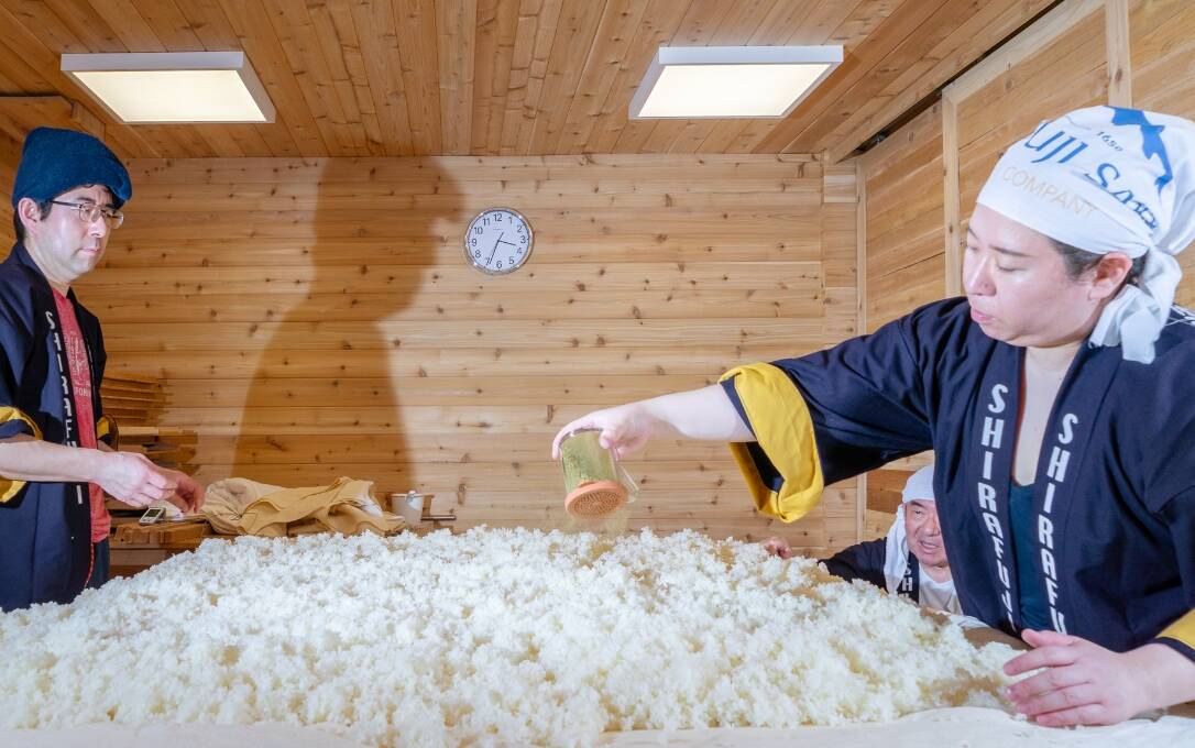Contributed photo
Shuhei Tomisawa, right, and daughter Mari Tomisawa, left, preparing rice with koji in order to ferment it into sake. The two are 20th and 21st generation sake brewers.