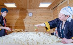 Contributed photo
Shuhei Tomisawa, right, and daughter Mari Tomisawa, left, preparing rice with koji in order to ferment it into sake. The two are 20th and 21st generation sake brewers.