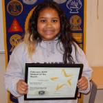 Kobe Kitora-Couch, Wikleson