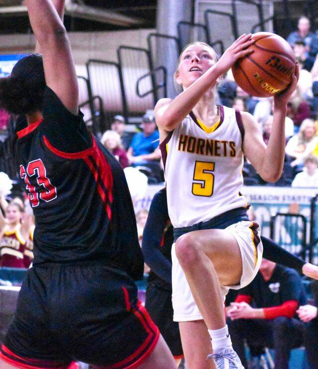 WRHS Hornet Sophie Ross-Soler drives to the hoop. Photo by Kevin Hanson