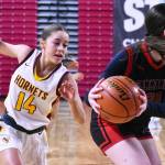WRHS Lexie Banks (14) looks to come up with a steal behind a Sammamish opponent. Photo by Kevin Hanson