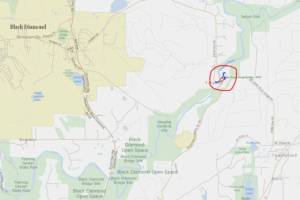 Screenshot courtesy King County