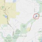 Screenshot courtesy King County