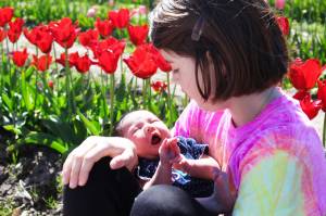 Photos by Ray Miller-Still
Maris Farms annual Buds and Baby Blooms starts on April 27, and continues on weekends until May 12. As the name suggests, there will be a field on tulips (which you can even cut and take home), baby animals to pet, and other staple farm events and activities. Here are some photos from last years event.