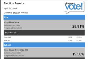 Screenshot of the initial April 23 special election results.