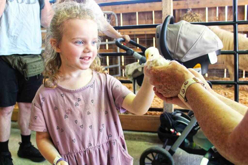 Some lucky kids were able to bet baby chicks. Photo by Ray Miller-Still